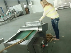 Kibble Food Pet dog cat Treat Machine Extruder Equipment BV گواهینامه