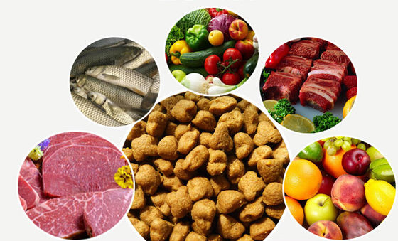 دستگاه ساخت گلوله غذای خشک سگ از جنس استیل ضد زنگ SBN