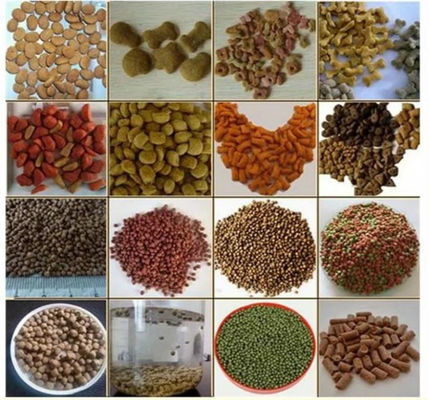 4t/H استنلیس ماهی های آبی تغذیه Extruder ماشین با موتور زیمنس