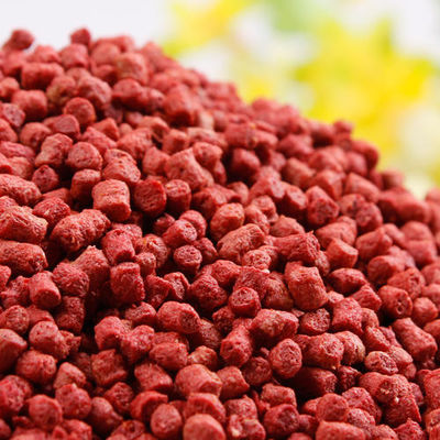 اکستروژر صنعتی دو پیچ 220 ولت 100 کیلوگرم در ساعت برای تغذیه ماهی