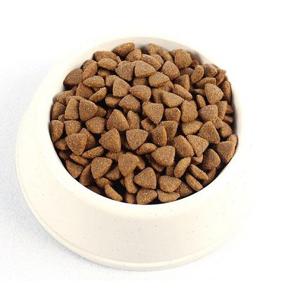 600kg/h Dry Type Floating Fish Feed Pellet Extruder