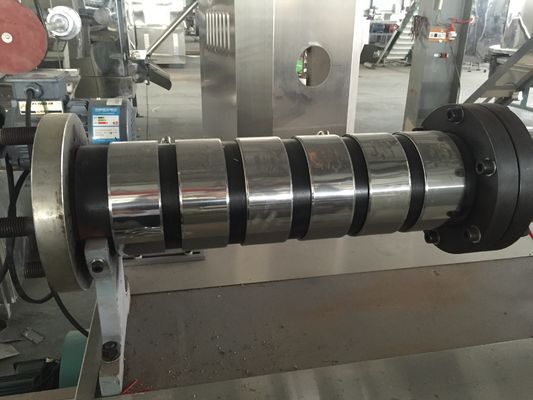 خط تولید تغذیه شناور ماهی 100 کیلوگرم در ساعت