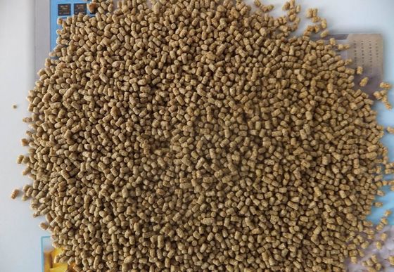 Wet type factory price fish feed machine supplier fish feed processing extruder in nigeria