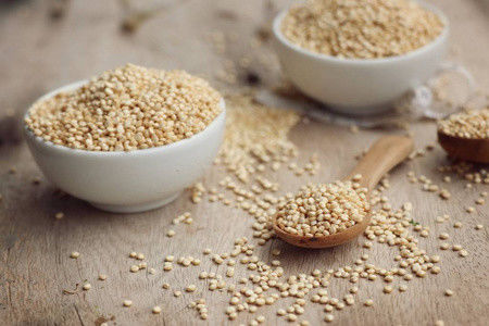 ماشين توليد غذاي ميگو ها از انواع مختلف