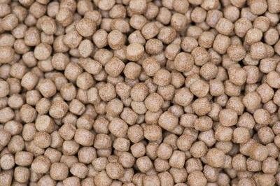 تولید کننده خوراک ماهی، دستگاه اکسترودر غذای ماهی