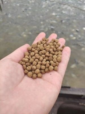 دستگاه تولید خوراک ماهی شناور 100-160 کیلوگرم در ساعت