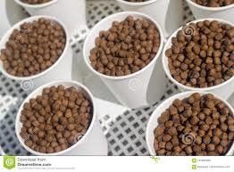 دستگاه تولید خوراک آبزیان SUS 100 کیلوگرم در ساعت - 6 تن در ساعت