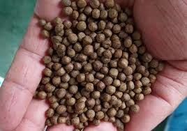 دستگاه تولید خوراک آبزیان SUS 100 کیلوگرم در ساعت - 6 تن در ساعت