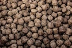 اکسترودر خوراک ماهی دو پیچه 6TPH برای خوراک ماهی شناور