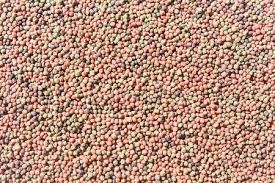 100kg/h-6t/h Extruder دو پیچ ماهی خوراک برای شناور ماهی مواد غذایی گلوله ماشین